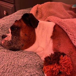 Meet your Posher, Lucas